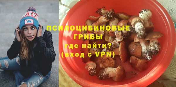 соль ск Кинешма