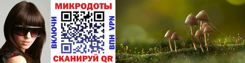 Купить  Артёмовский  Галлюциногенные грибы прущие грибы 